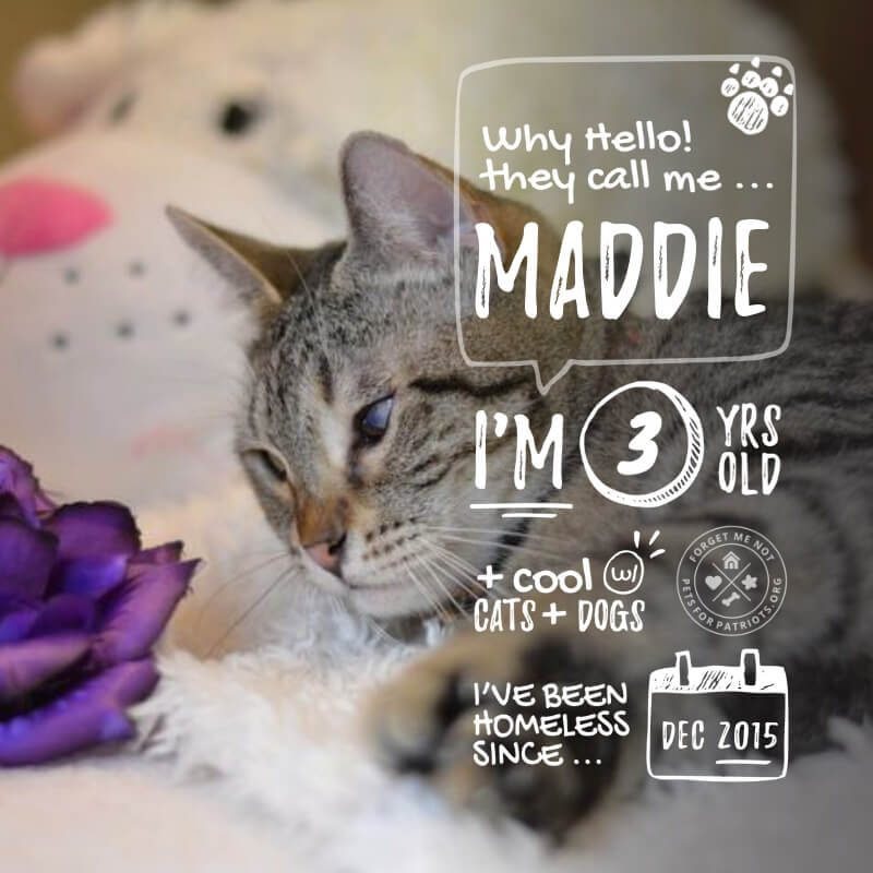 Maddie