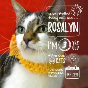 Rosalyn