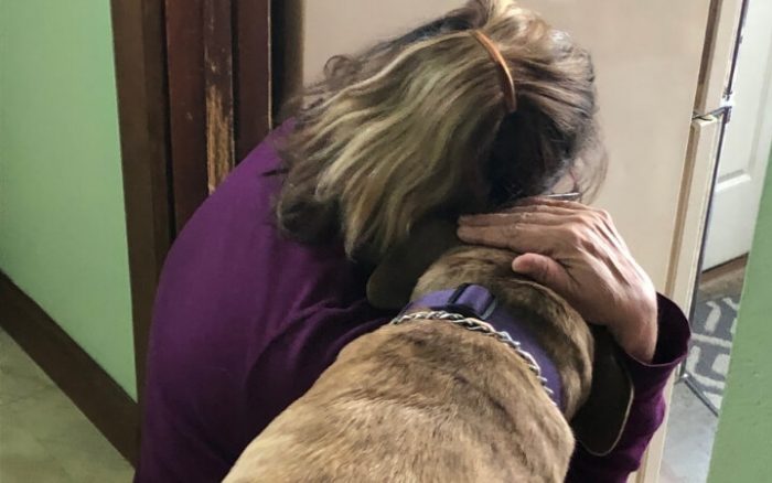 Pit Bull with a purpose consoles Navy veteran coping with unspeakable loss