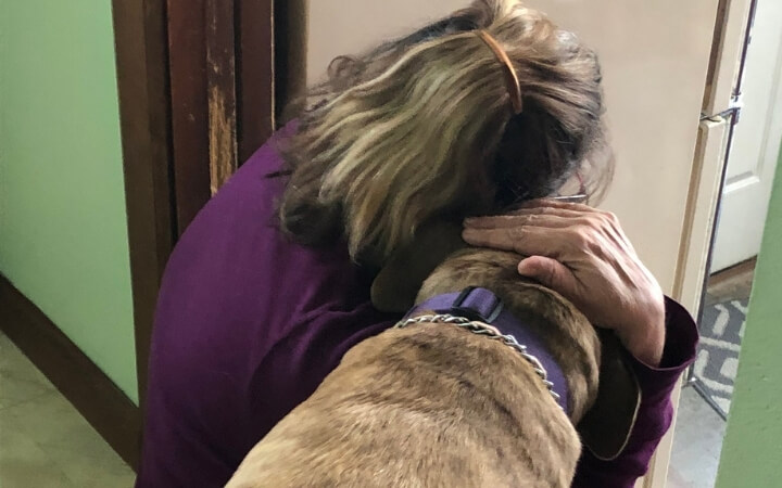 Pit Bull with a purpose consoles Navy veteran coping with unspeakable loss