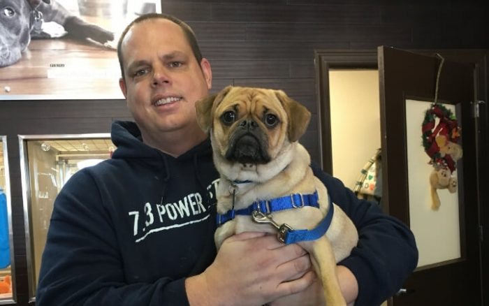 Misunderstood shelter dog brings new life to disabled Navy veteran