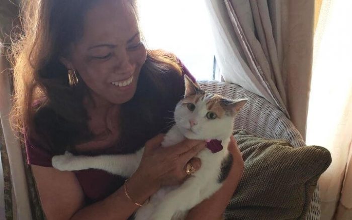 Fate bonds grief-stricken retired Army veteran and cat surrendered to animal shelter