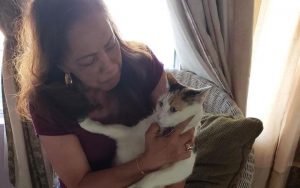 Fate bonds grief-stricken retired Army veteran and cat surrendered to animal shelter