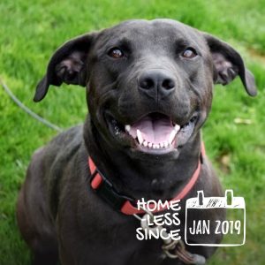 Bubby has a zest for life and wants to share it with you!