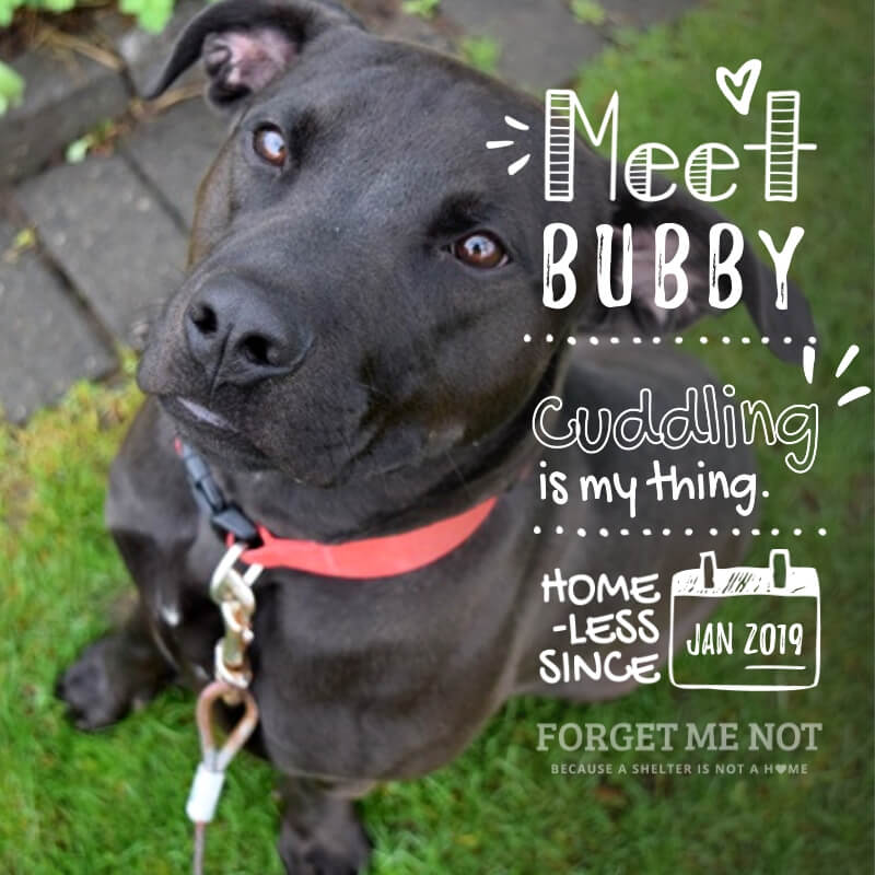 Bubby has a zest for life and wants to share it with you!