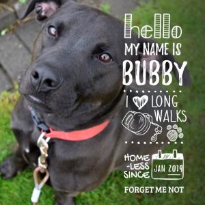 Bubby has a zest for life and wants to share it with you!