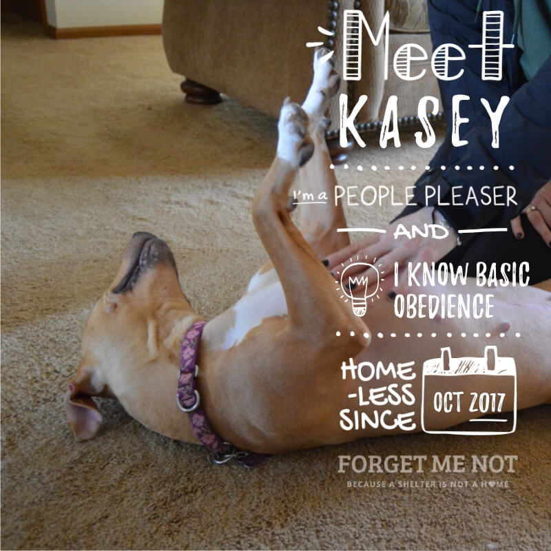 Kasey says forget the rest because she is the best!