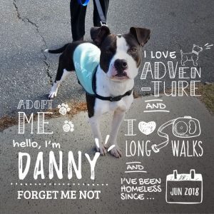 Danny