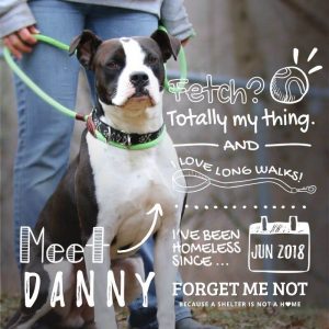 Danny