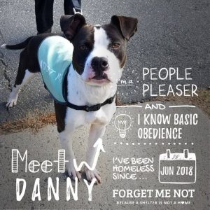 Danny