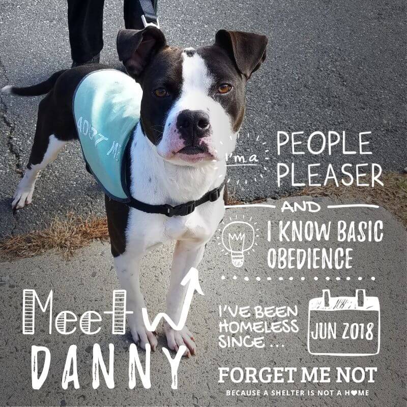 Danny