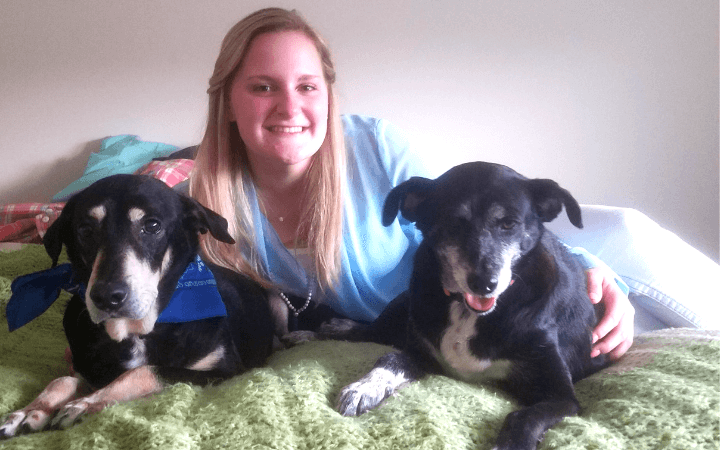 When a bonded pair of dogs breaks so does their Navy veteran's heart