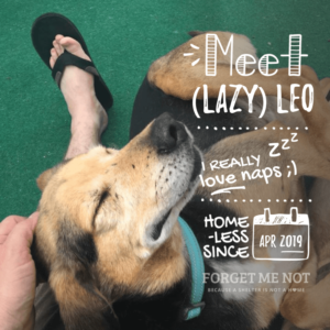 Leo