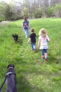 Veteran who saved chronically homeless Pit Bull dedicates his life to helping others