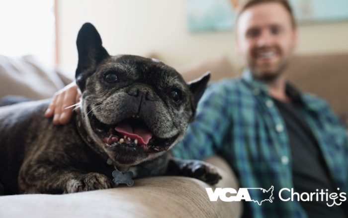 VCA Charities matching donations up to $50,000