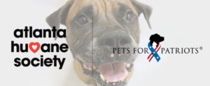 Spotlight on Atlanta Humane Society