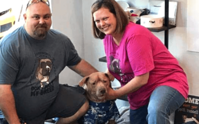 Air Force veteran and special needs Pit Bull make unlikely match