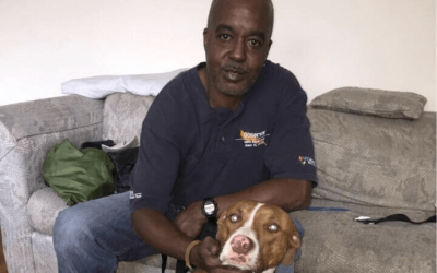 Abandoned Pit Bull and once homeless veteran give each other a new chance at life