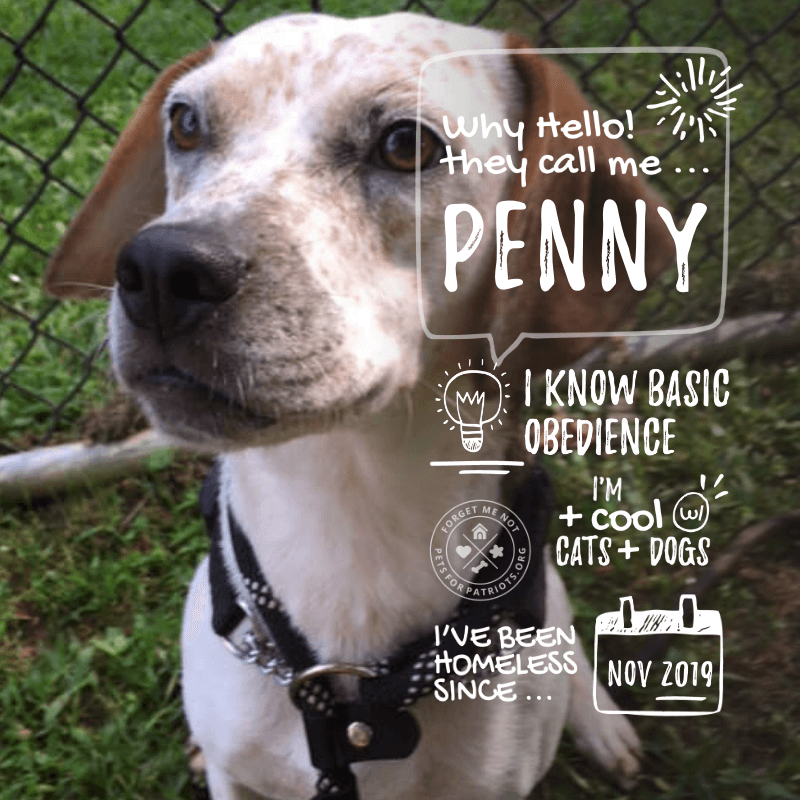 Penny