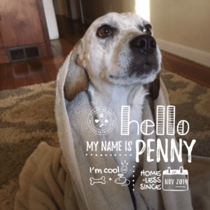 Penny