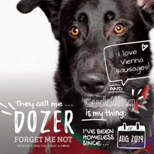 Dozer