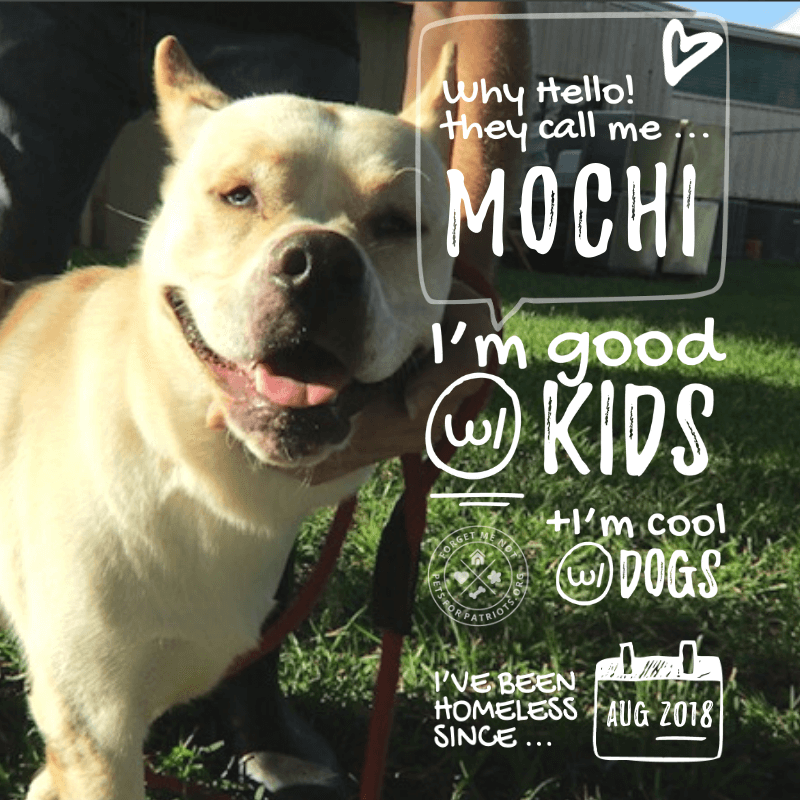 Mochi