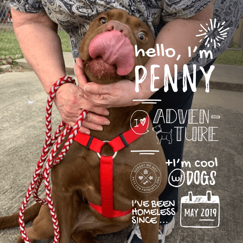 Penny