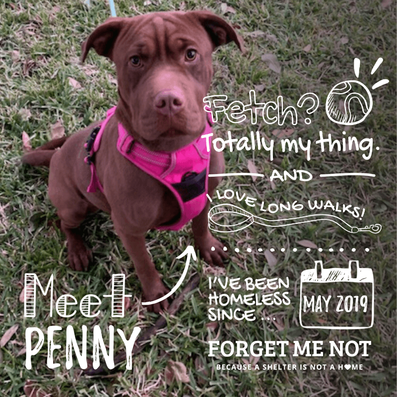 Penny