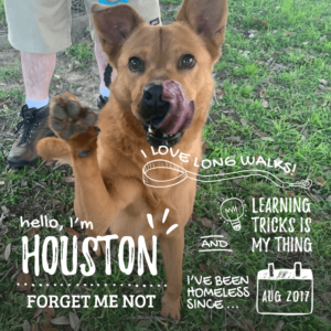 Houston