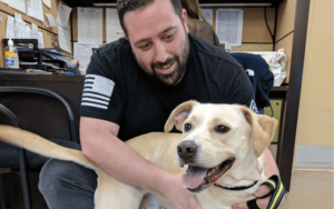 Repeatedly abandoned dog becomes Afghanistan veteran's best friend