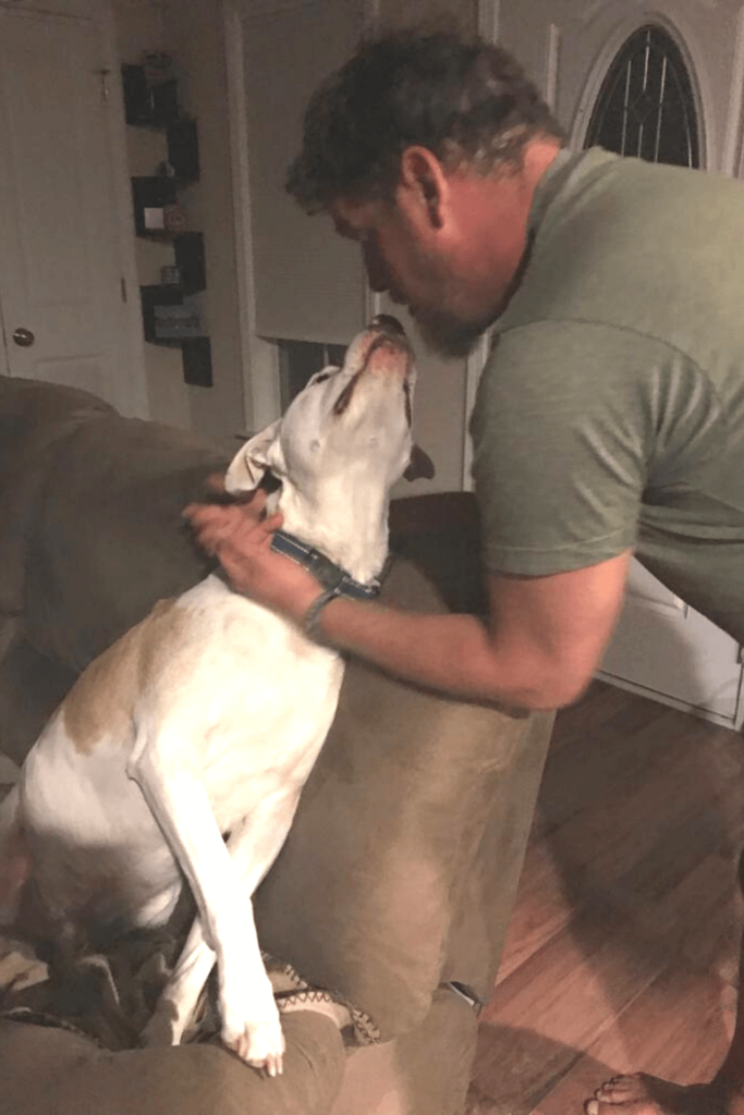 Former stray dog adopts combat Marine whose life was shattered by IED blast and PTSD