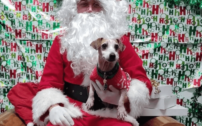 Senior dog is "light in the darkness" for Navy veteran living with depression