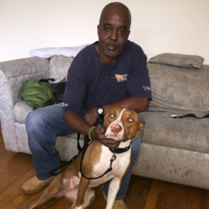 How a Navy Veteran and Abused Pit Bull Saved Each Other