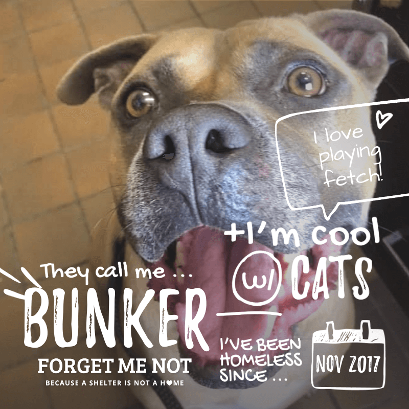 Bunker