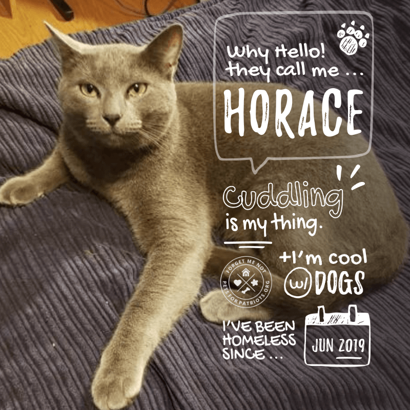 Horace