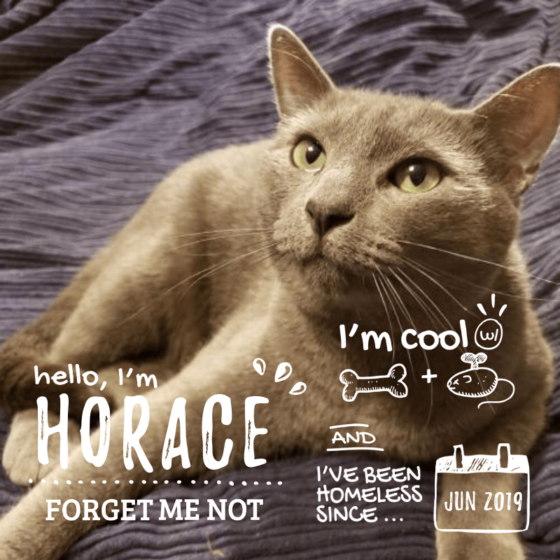 Horace