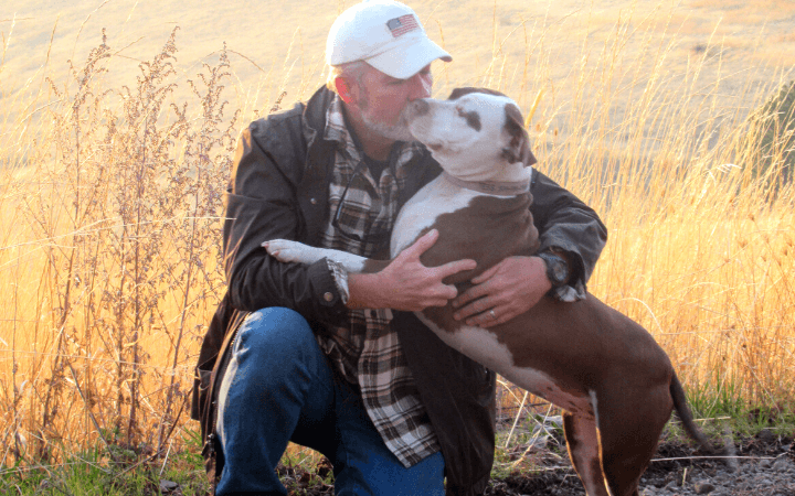 Pit Bull treks from Texas to Washington and finds love with Iraq war veteran