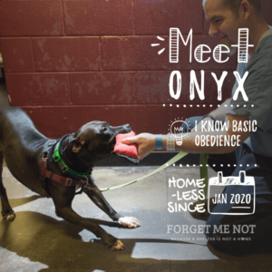 Onyx