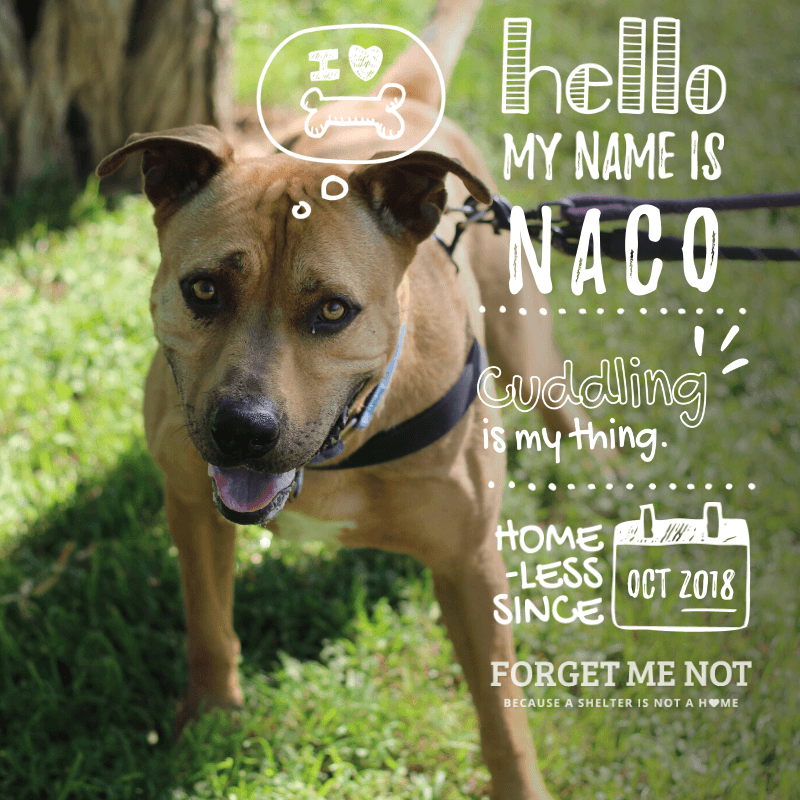 Naco