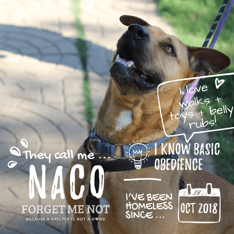 Naco