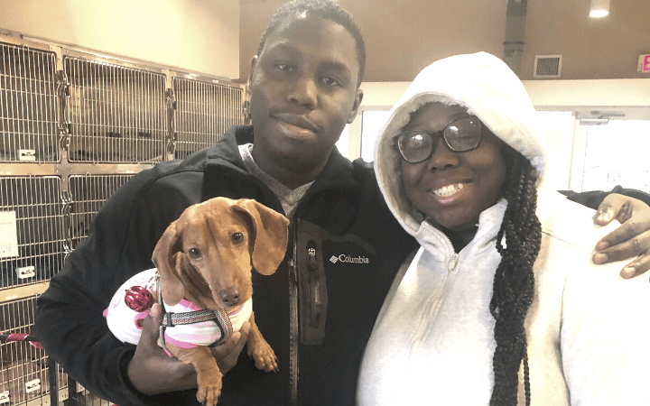 Army veteran and first-time pet adopter soon adds another pup to his pack