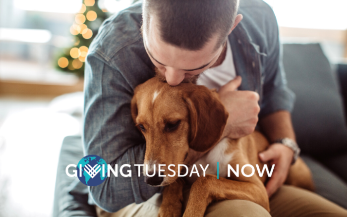 Give gratitude on Giving Tuesday Now