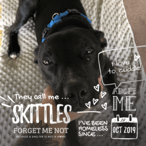 Skittles