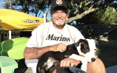Dogs who survived horrific cruelty teach Marine Corps veteran the meaning of resilience