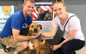 Adopted dog helps Naval officer and his wife stay healthy during COVID-19