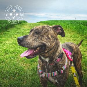 Maxie is a stunning girl who loves Cheetos, watermelon, and adventure!