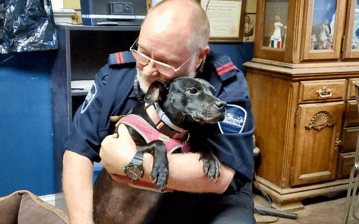 Second chance is the charm for Puerto Rican street dog and retired Navy veteran