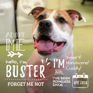 Buster
