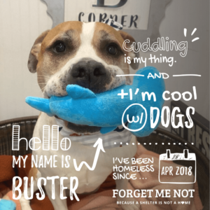 Buster