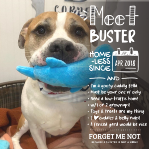 Buster